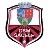 FC Sacele