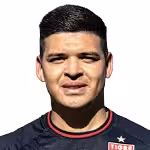 Alvarez F.