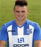 Drazic D.