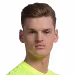 Janusevskis J.