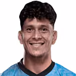 Diarte L.