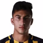 Rizzi F.