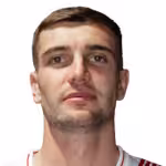 Mulahusejnovic N.
