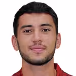 Shaghoyan Z.