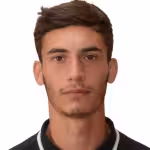 Grigoryan E.