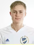 Tellgren E.