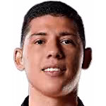 Sebastian Emiliano Fierro Gonzalez