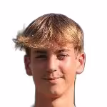 Abildgaard L.