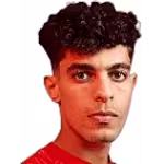 Ziad Tarek