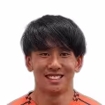 Fujii K.