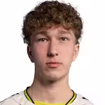 Bronnik M.