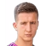 Skelton J.
