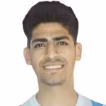 Hamed A.