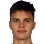Niedzwiedz N.