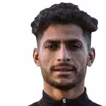 Taalab A.