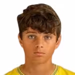 Udvaros N.