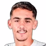 Berisha H.