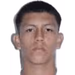 Coronel Gomez M. A.