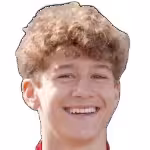 Ryan van de Pavert