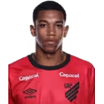 de Morais Francisco L. F.