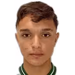 Tissi V. G.
