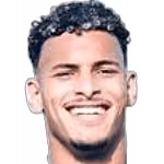 El Bahraoui Y.