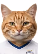 Konstantinos Lykourinos