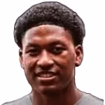 Pawaridihadjo J.