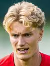 V.Gustafsen